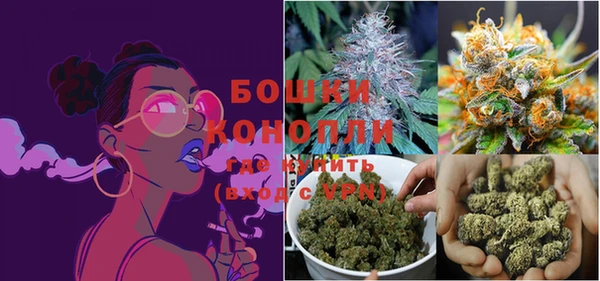 PSILOCYBIN Беломорск