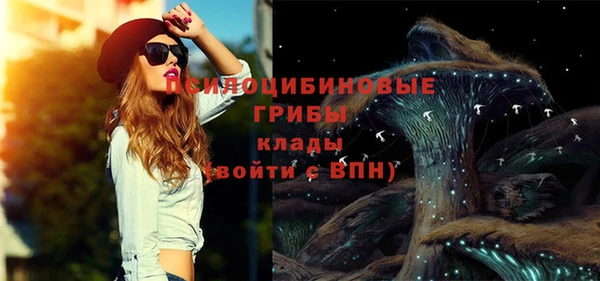 PSILOCYBIN Беломорск