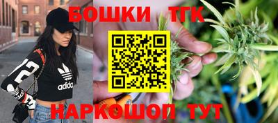 МДПВ Гусев