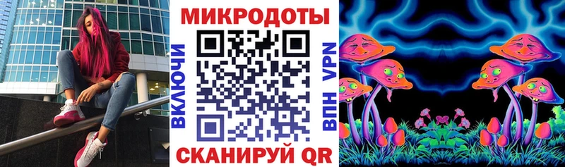 Галлюциногенные грибы мицелий наркошоп Кувандык