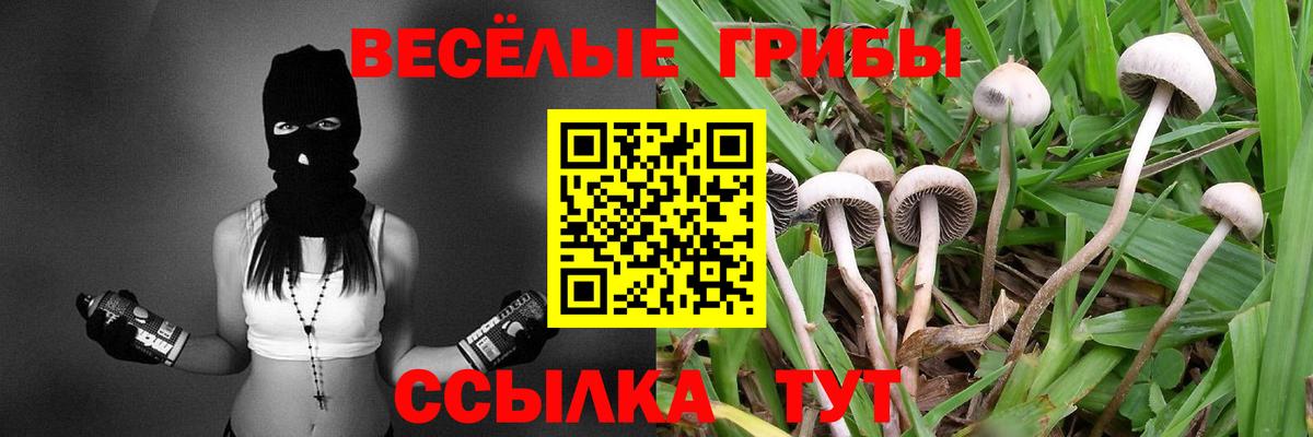 Кувандык  Псилоцибиновые грибы прущие грибы  Вход с VPN 