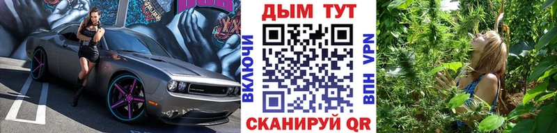 Канабис марихуана  Кувандык 